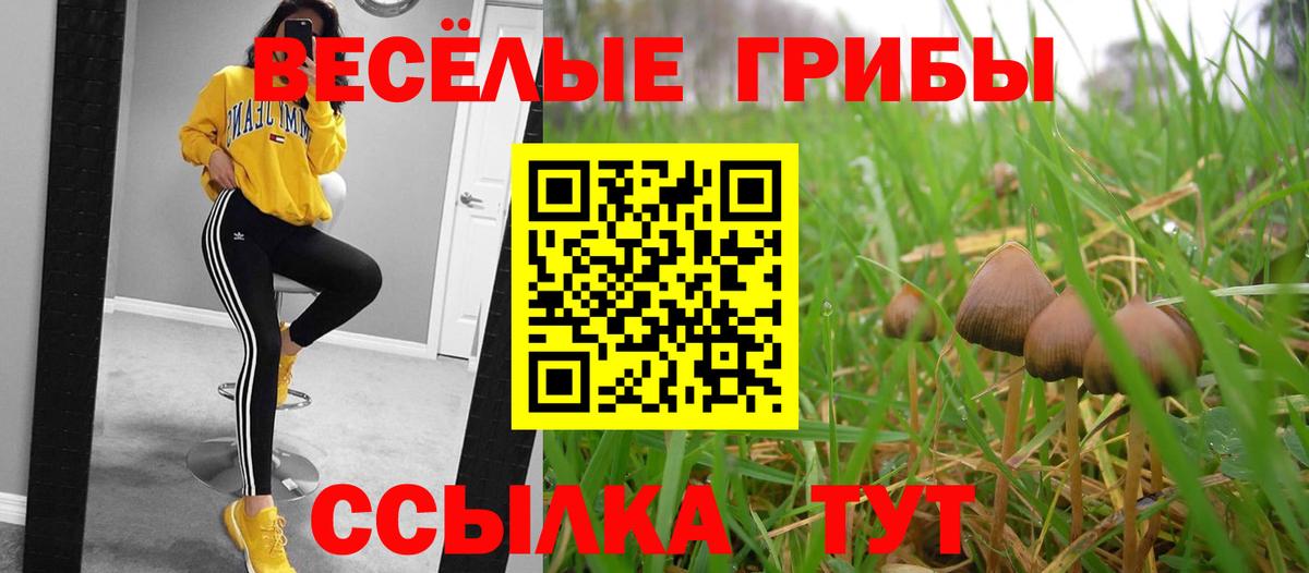 Псилоцибиновые грибы ЛСД Нижний Тагил